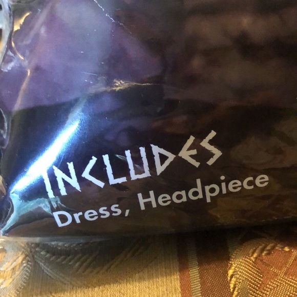 Roman dress with gold leaf laurel headpiece - never worn - stretchy 8 to 12 size - Picture 2 of 7